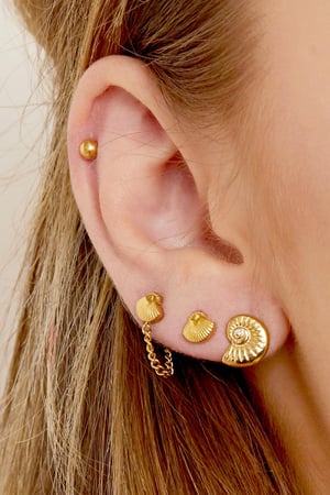 Boucles d'oreilles Twisted Shell Acier inoxydable h5 Image2